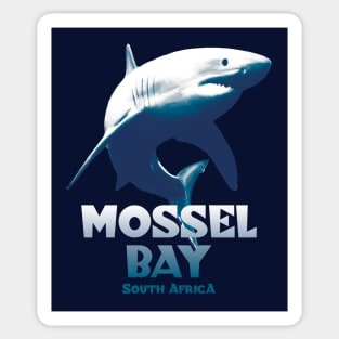 Mossel Bay Shark Diving Sticker